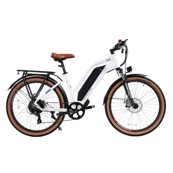 DWMEIGI Hestia 750W 48V/13Ah Step Through Electric Commuter Bike