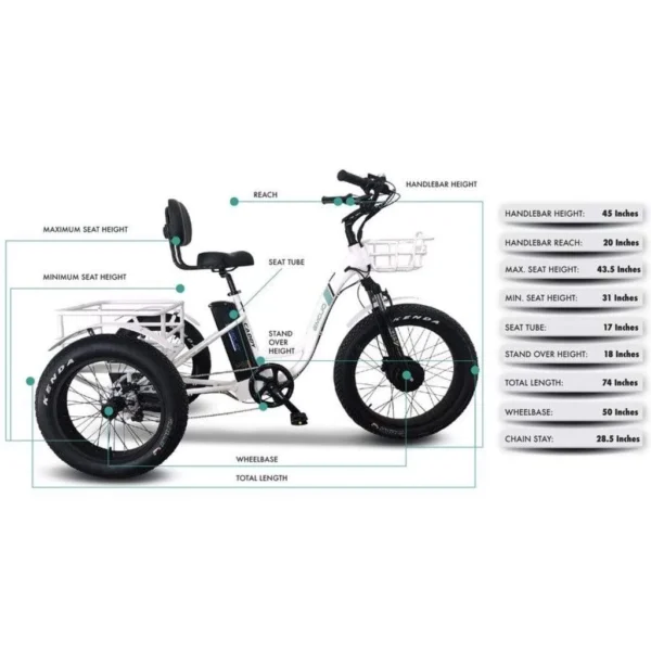 Emojo Caddy Pro 500W 48V Fat Tire Electric Tricycle - Image 5