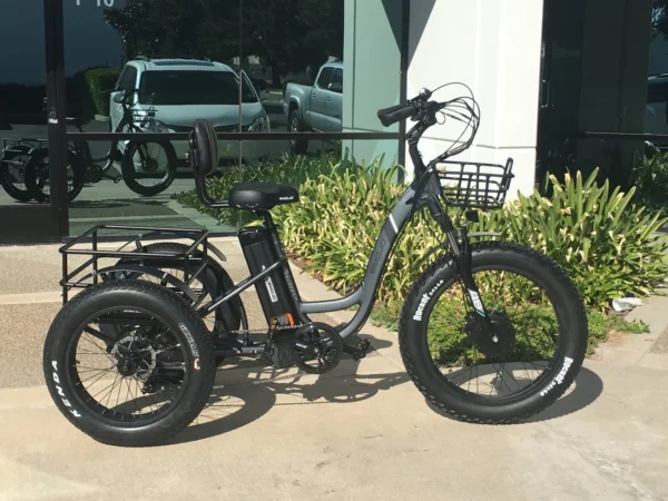 Emojo Caddy Pro 500W 48V Fat Tire Electric Tricycle - Image 3