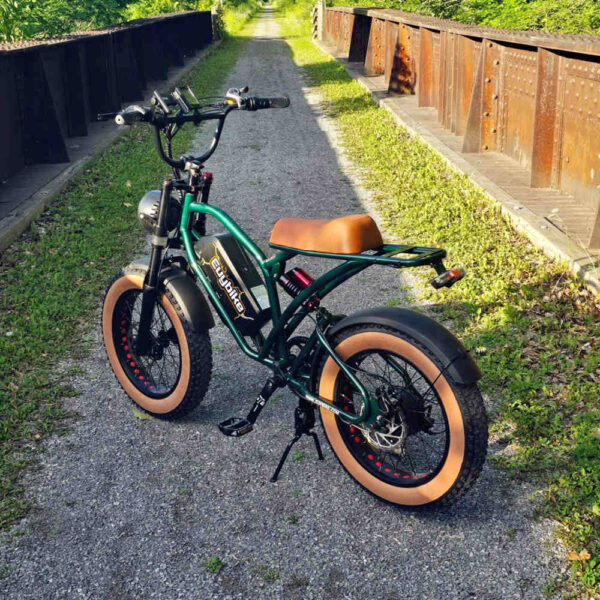 S4 Long Range Moped-Style Electric Bike - Image 3