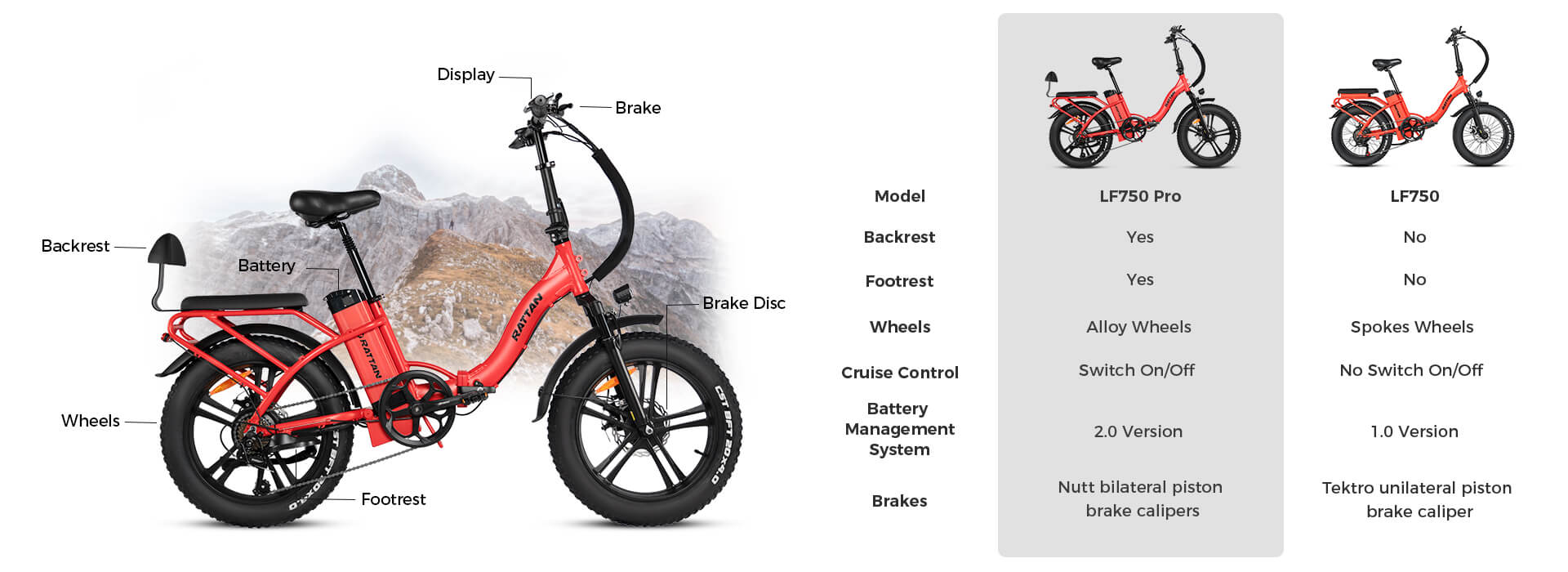 Rattan LM 750 PRO Folding 750W 48V Fat Tire Electric Bike - Image 3