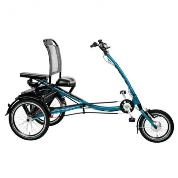 PFIFF Scooter Trike L 250W 36V Electric Tricycle