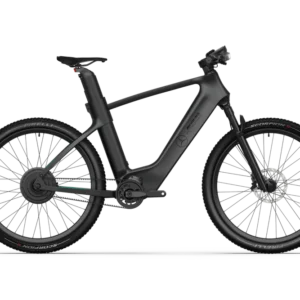 Mercedes-AMG F1 Rallye Edition 250 Electric Bike