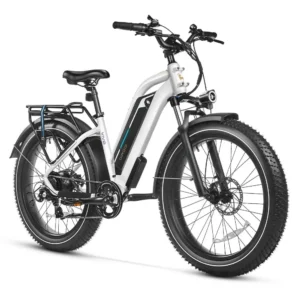 DiroDi Vivo E-Bike Electric Bike Gen 2