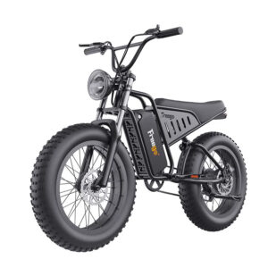 Freego S1 Motorcycle Electric Bike