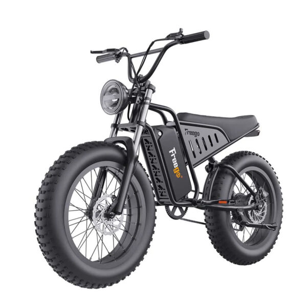 Freego S1 Motorcycle Electric Bike