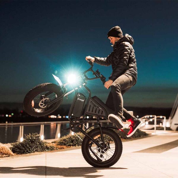 Freego S1 Motorcycle Electric Bike - Image 5